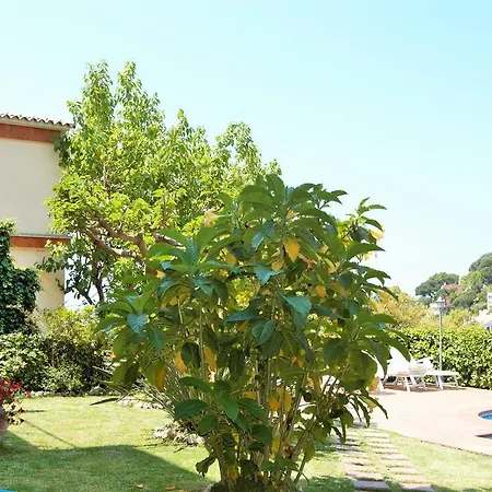 Villa 2pau - *